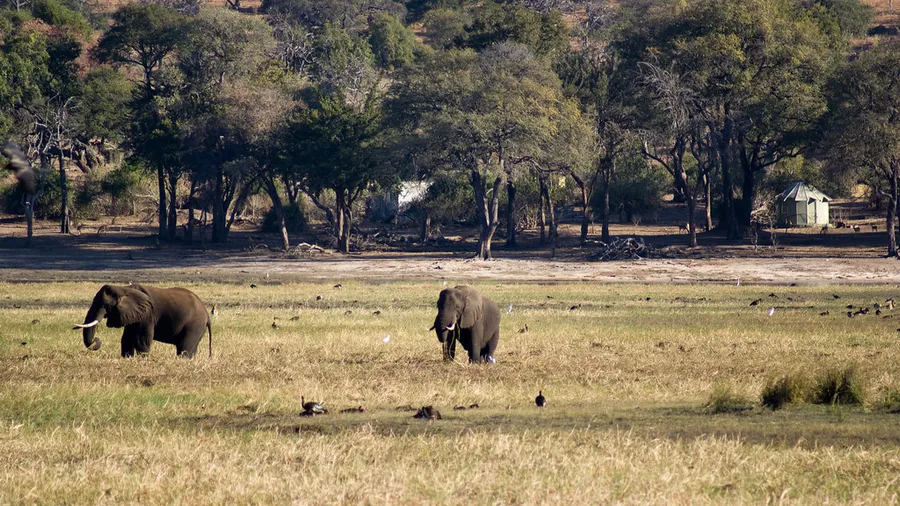 Chobe National Park