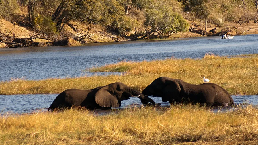 Chobe National Park