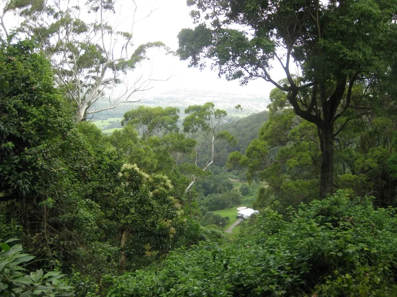 Chocolate Country