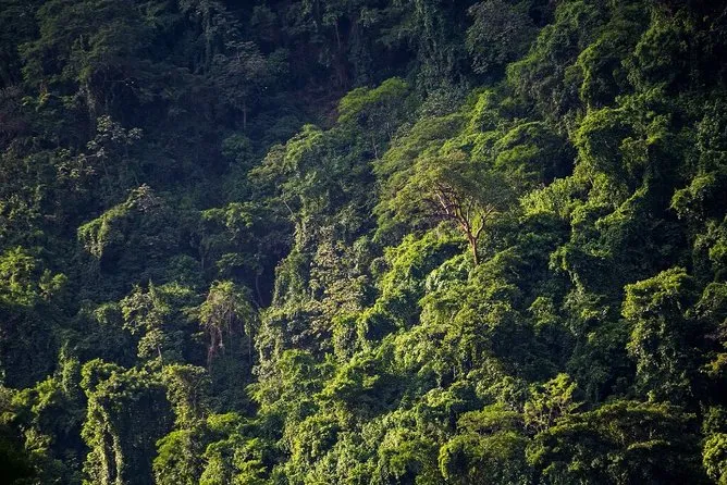Chocoyero-El Brujo Natural Reserve