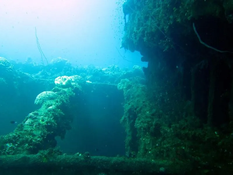 Chuuk War Relics Museum