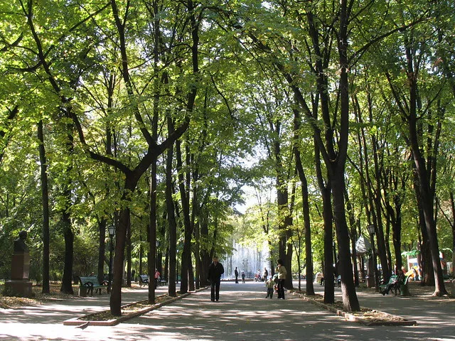 Cimbrului Street Skulpture Park