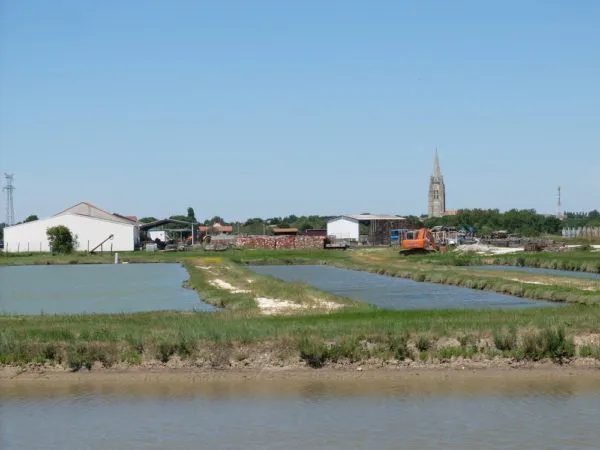 Cité de l'Huître