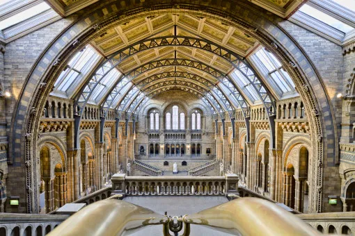 City Museum Hall