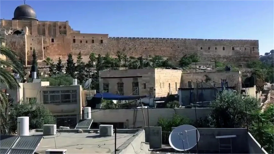City of David
