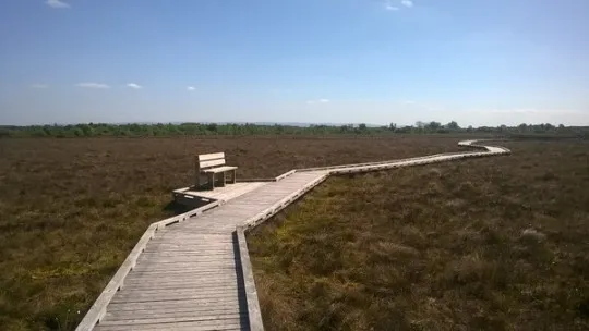 Clara Bog Visitor Centre