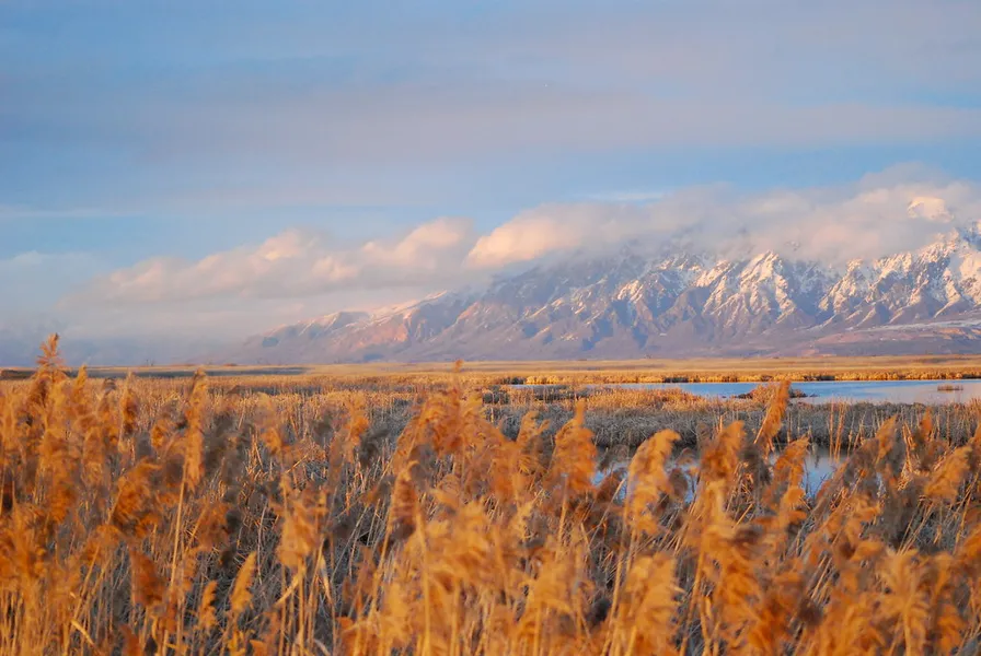 Clear Lake Waterfowl Management Area