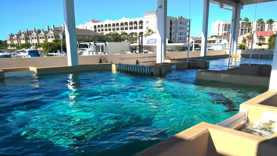 Clearwater Marine Aquarium