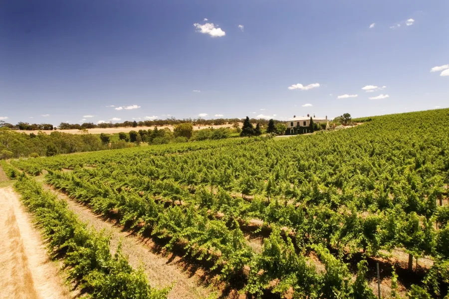 Cleggett Wines