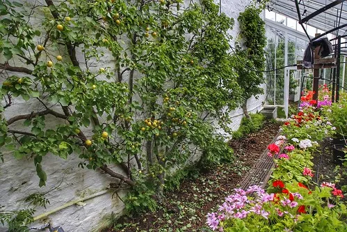 Clovelly Court Gardens