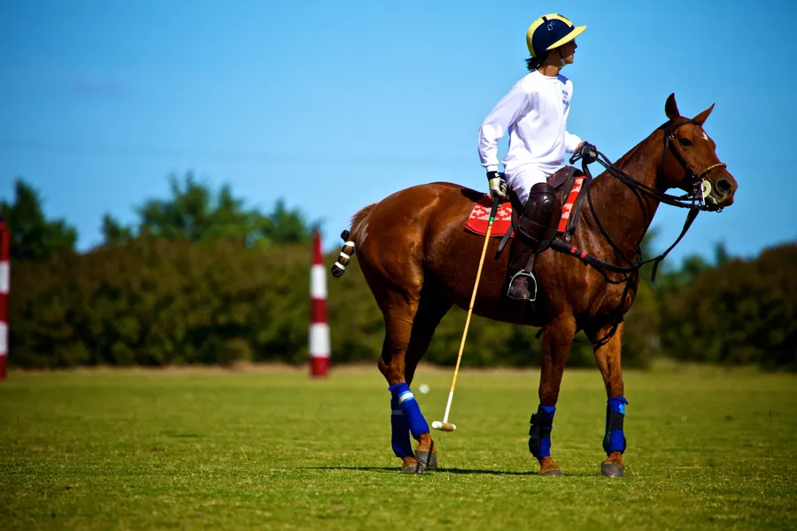 Club Hípico Coronel Suárez