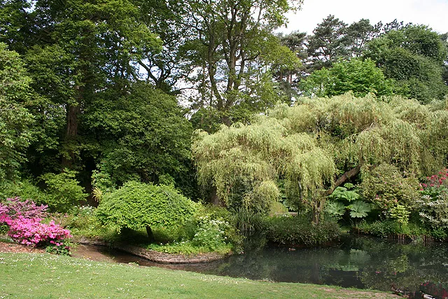 Clyne Gardens