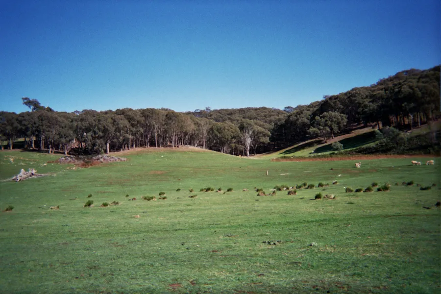 Cobargo Village
