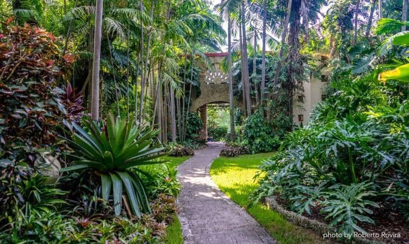Coconut Grove