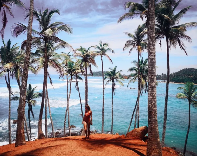Coconut Tree Hill
