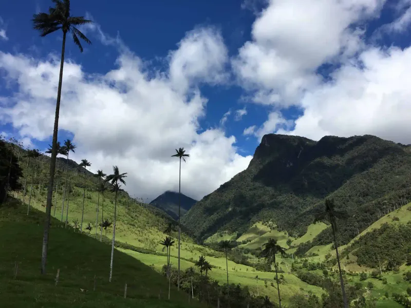 Cocora Valley