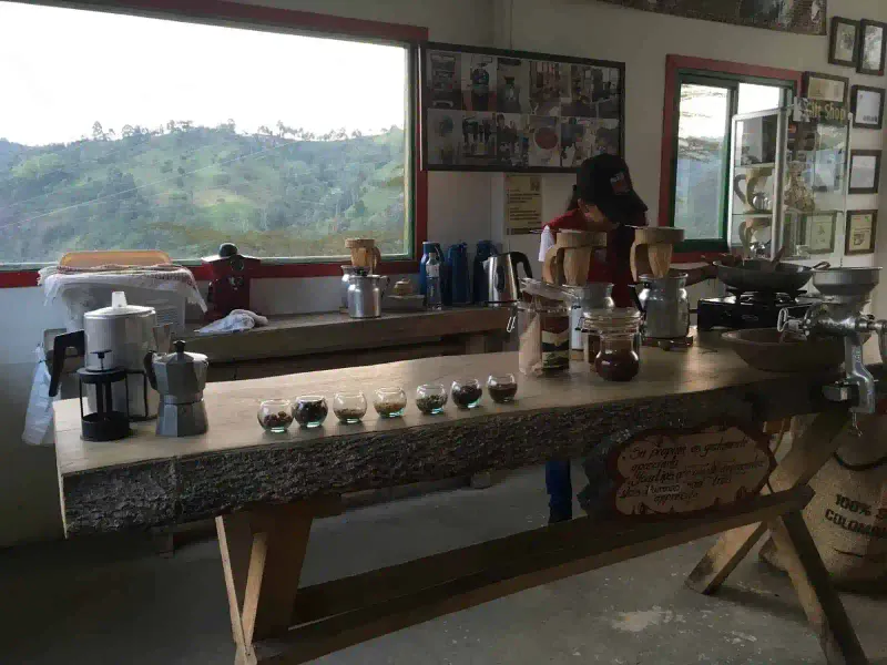 Coffee Farms (Fincas de Cafe)