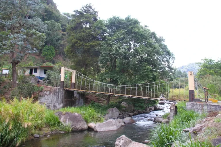 Coffee Tour at Boquete