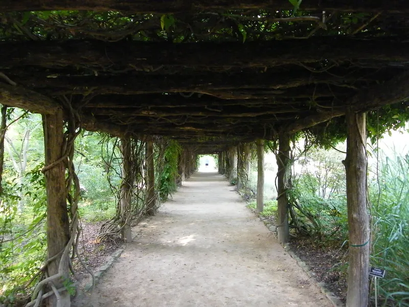Coker Arboretum