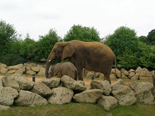 Colchester Zoo