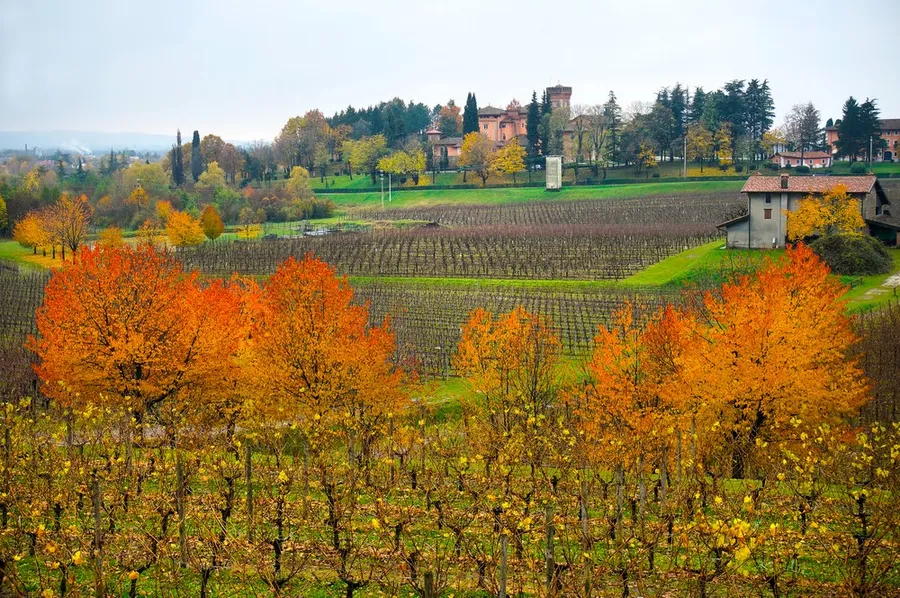Colle di San Daniele