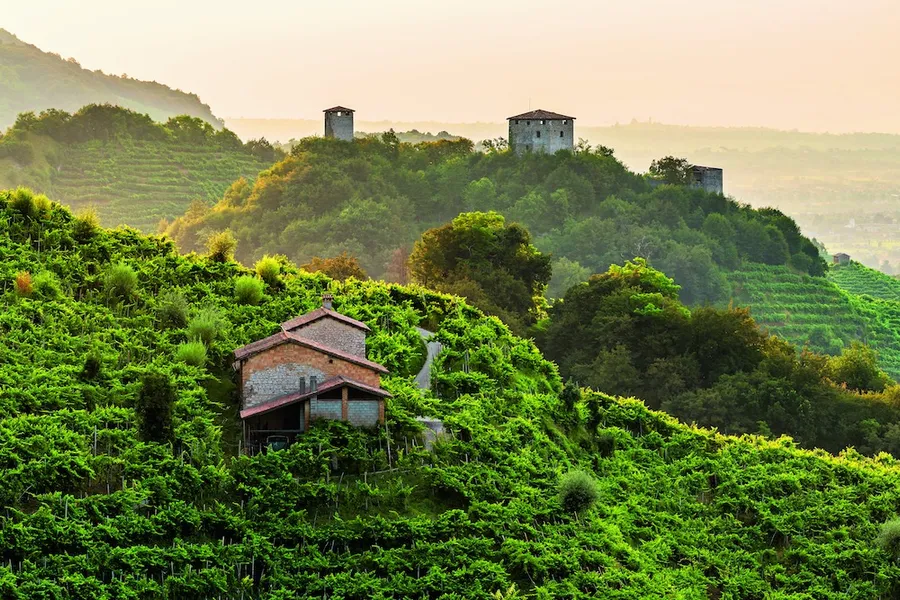 Colli di Conegliano e Valdobbiadene