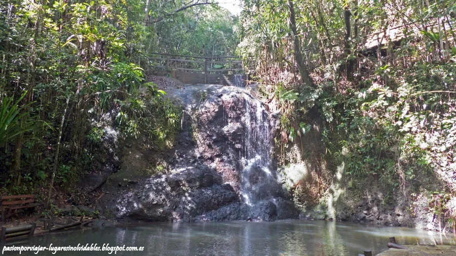 Colo-i-Suva Forest Park