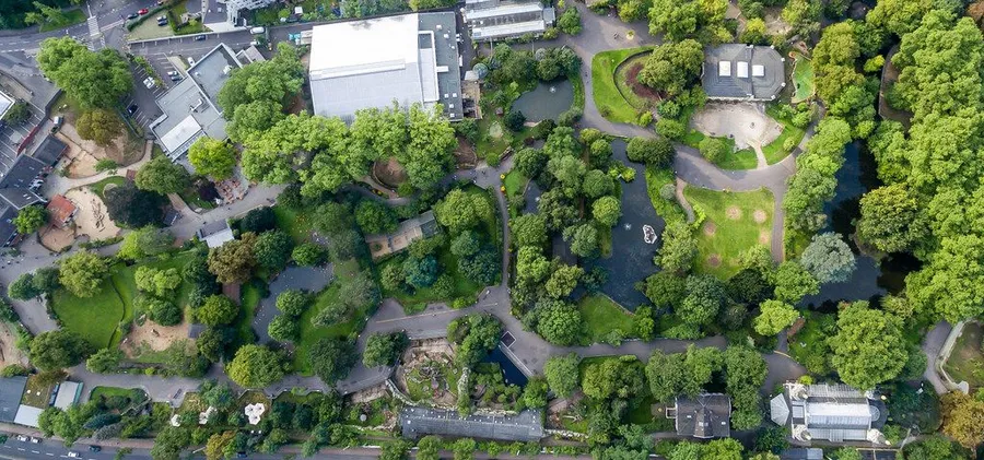 Cologne Zoological Garden