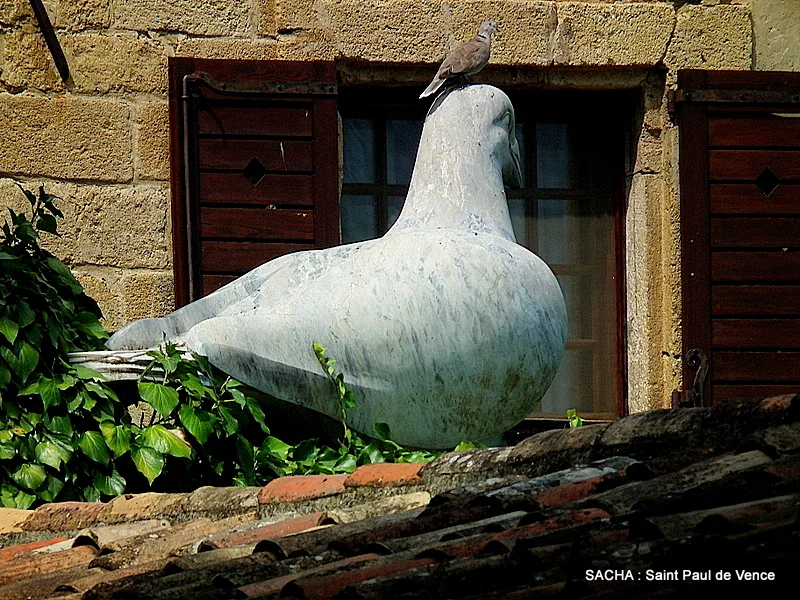 Colombe d'Or