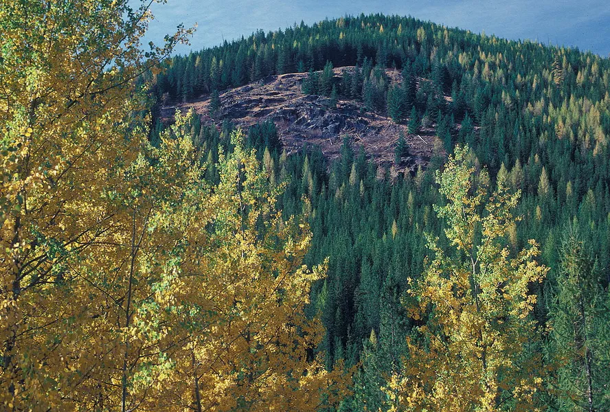 Colville National Forest