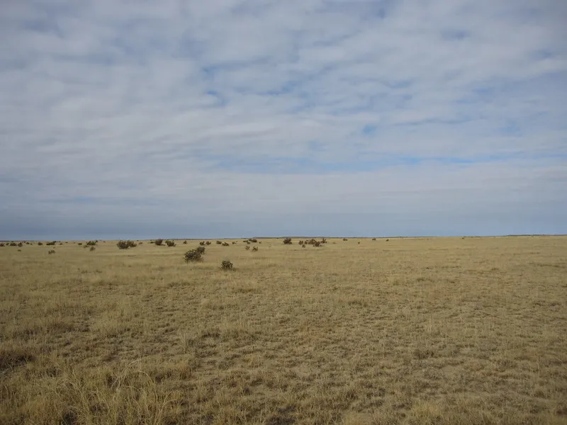 Comanche National Grassland