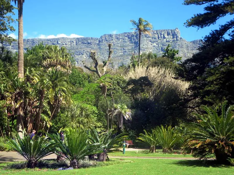 Company's Garden