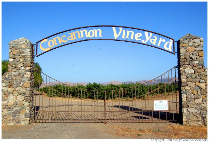 Concannon Vineyard