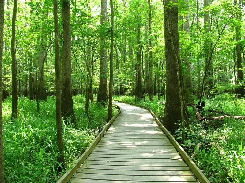 Congaree National Park