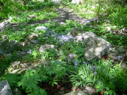 Connecticut College Arboretum