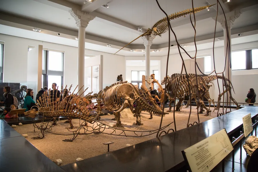 Connecticut State Museum of Natural History