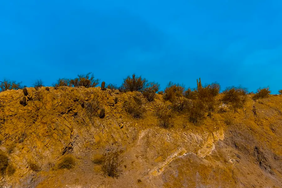 Constellation Park