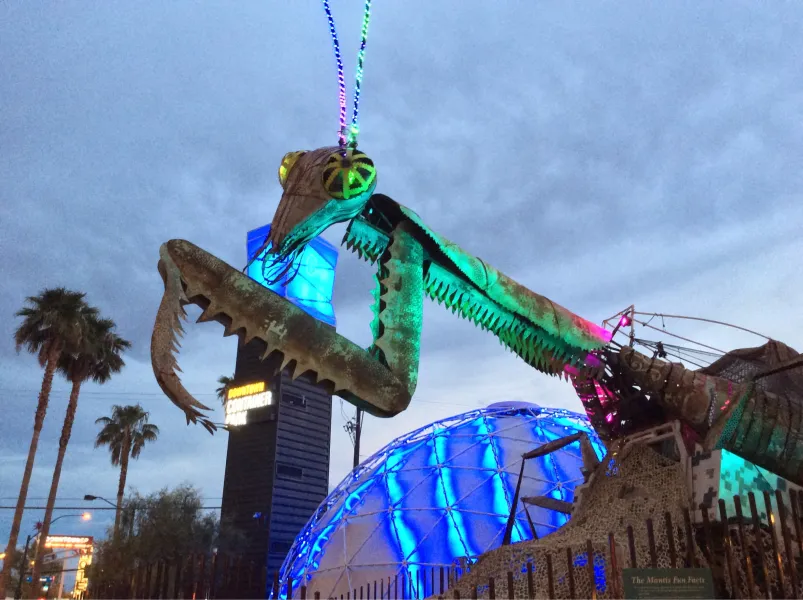 Container Park