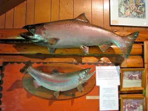 Cooper Landing Historical Society Museum
