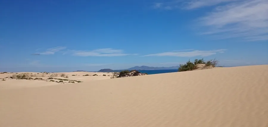 Corralejo Viejo