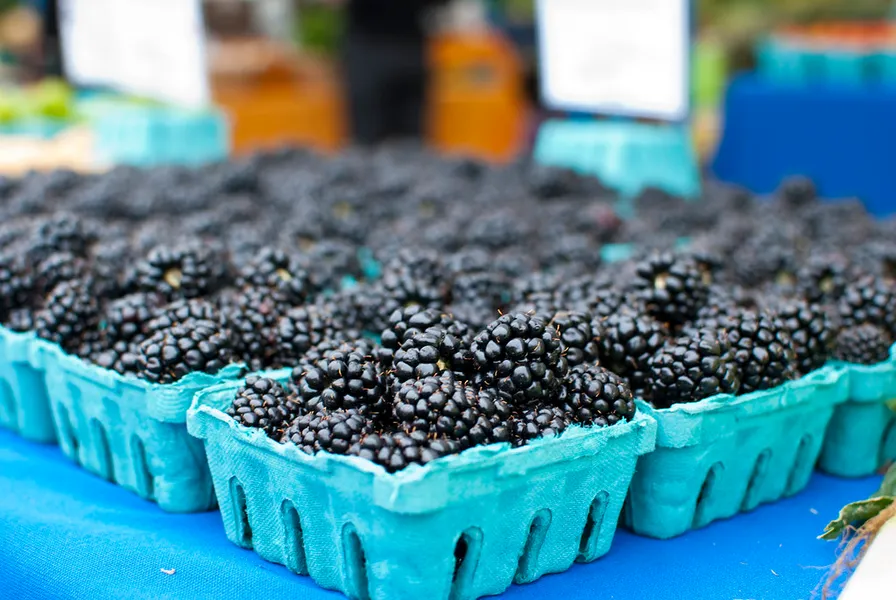 Corvallis Farmers' Market