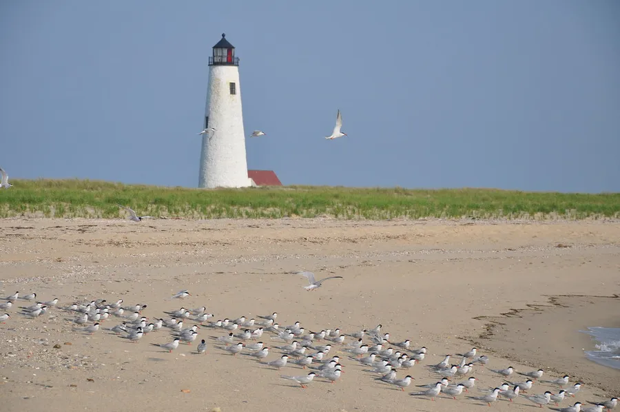 Coskata-Coatue Wildlife Refuge