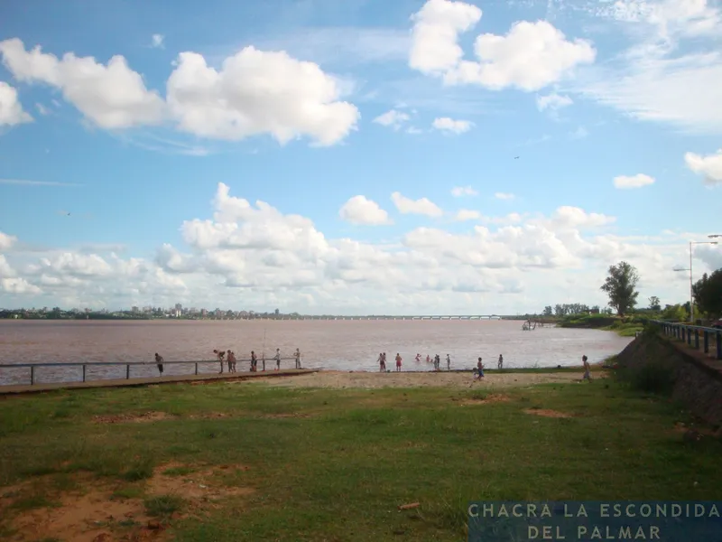 Costanera de Campana