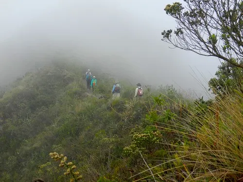 Cotacachi-Cayapas Ecological Reserve