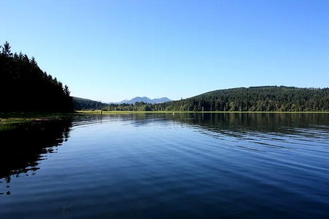 Cottage Grove Lake