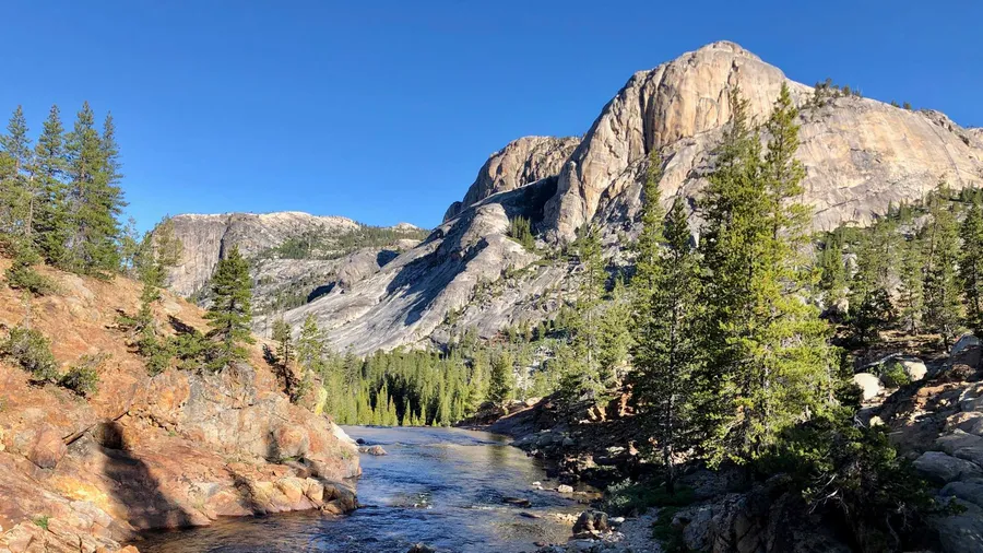 Cougar Crest Trail