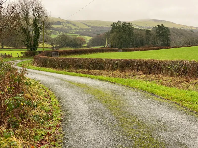 Country Lane Antiques & Collectibles