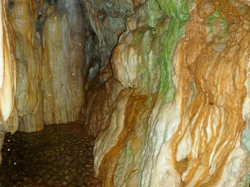 Cova de la Font