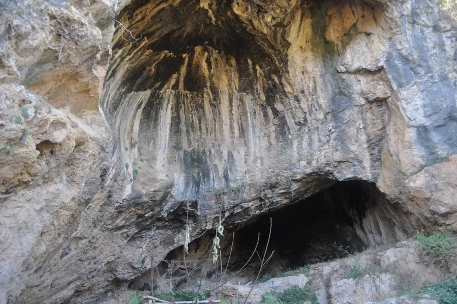 Cova de les Aranyes