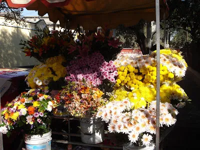 Coyoacan Market